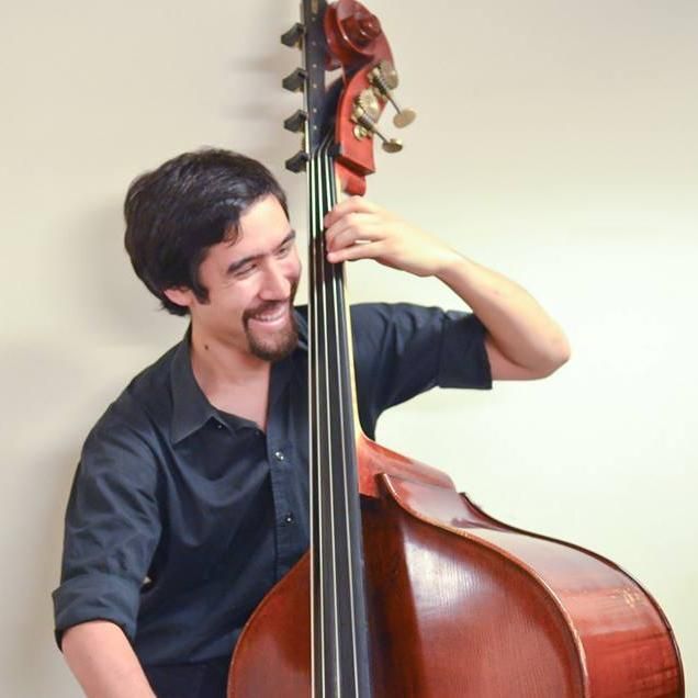 Upright and Electric Bass Lessons