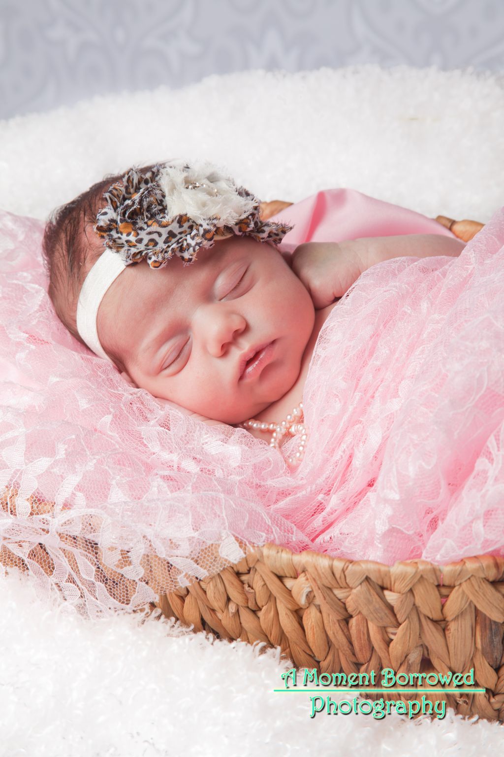 A selected photo from a clients Newborn Photo Sess