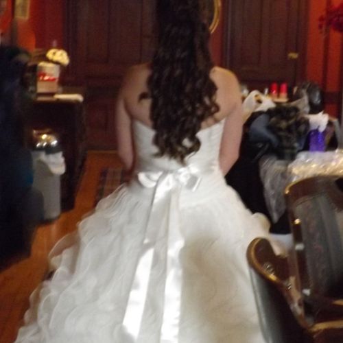 Bride before veil