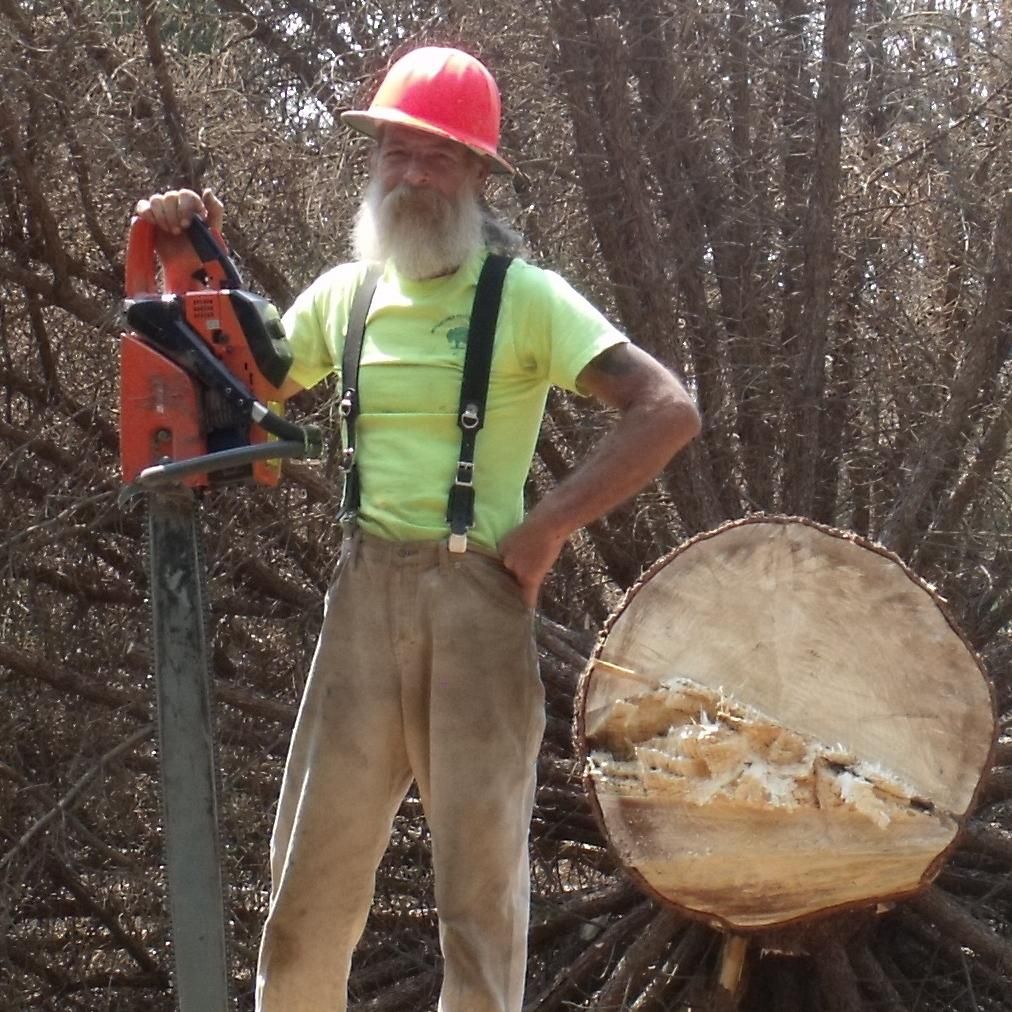 KC the Tree Guy / Tree Masters tree removal