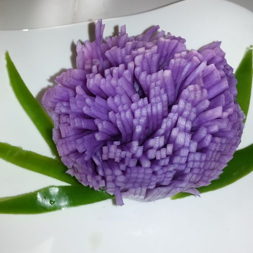 Royal purple chrysanthemum (turnip)