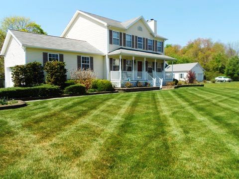 Does your lawn look like this?