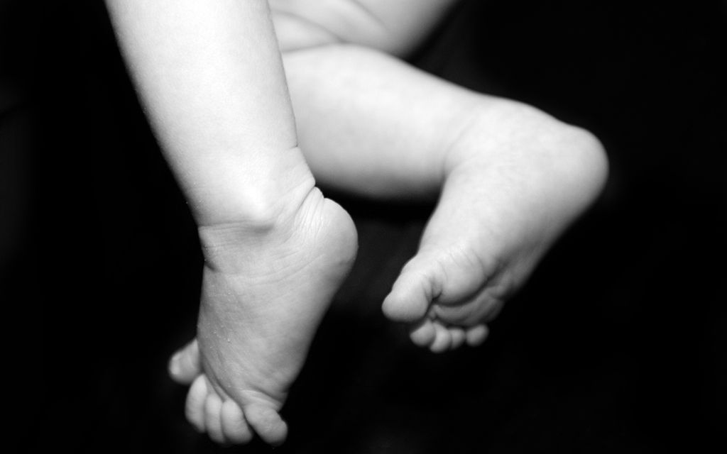 Baby Portraits