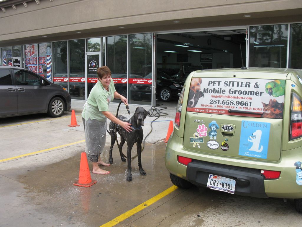 We can also bathe your dog after walks. This is ho