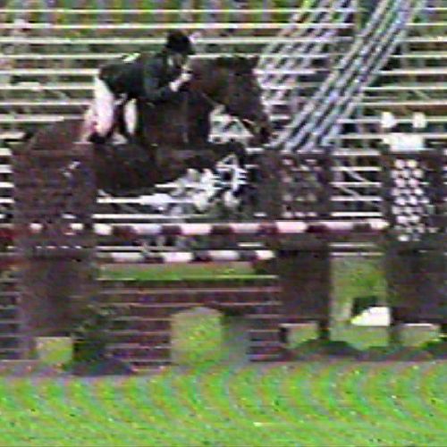 Horse Show Competition-Nancy Degan riding Knightli