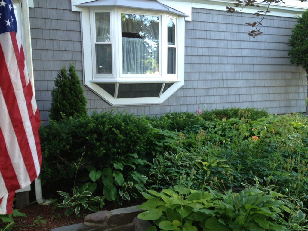 Bay window replaced 2 double hung as well as sidin