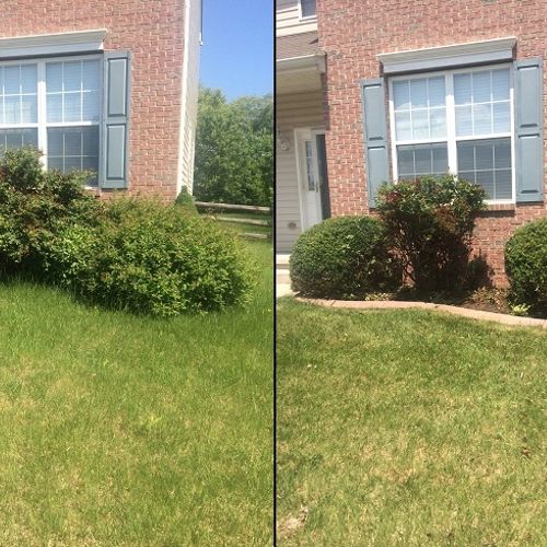 Trimming and landscape maintenance - Before and Af