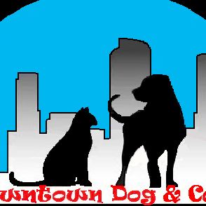 Downtown Dog & Cat