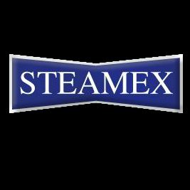 Steamex Carpet Cleaning