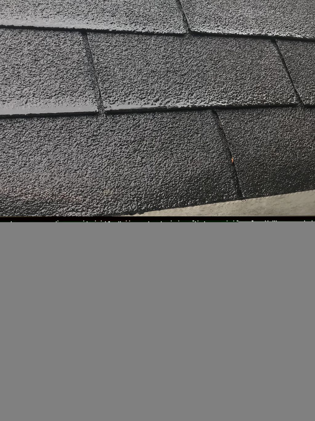 Gutter cleaning