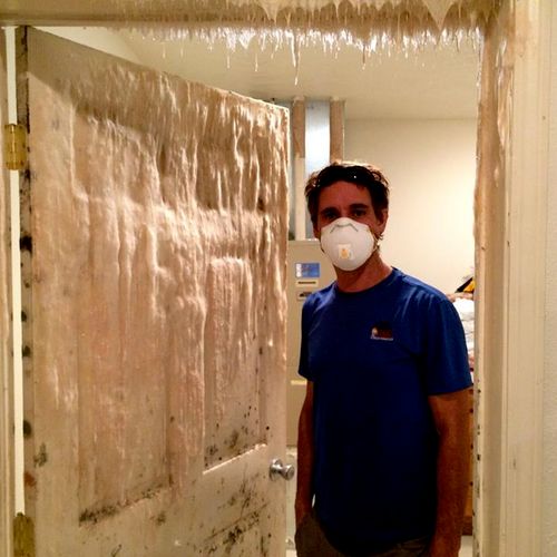Mold remediation project