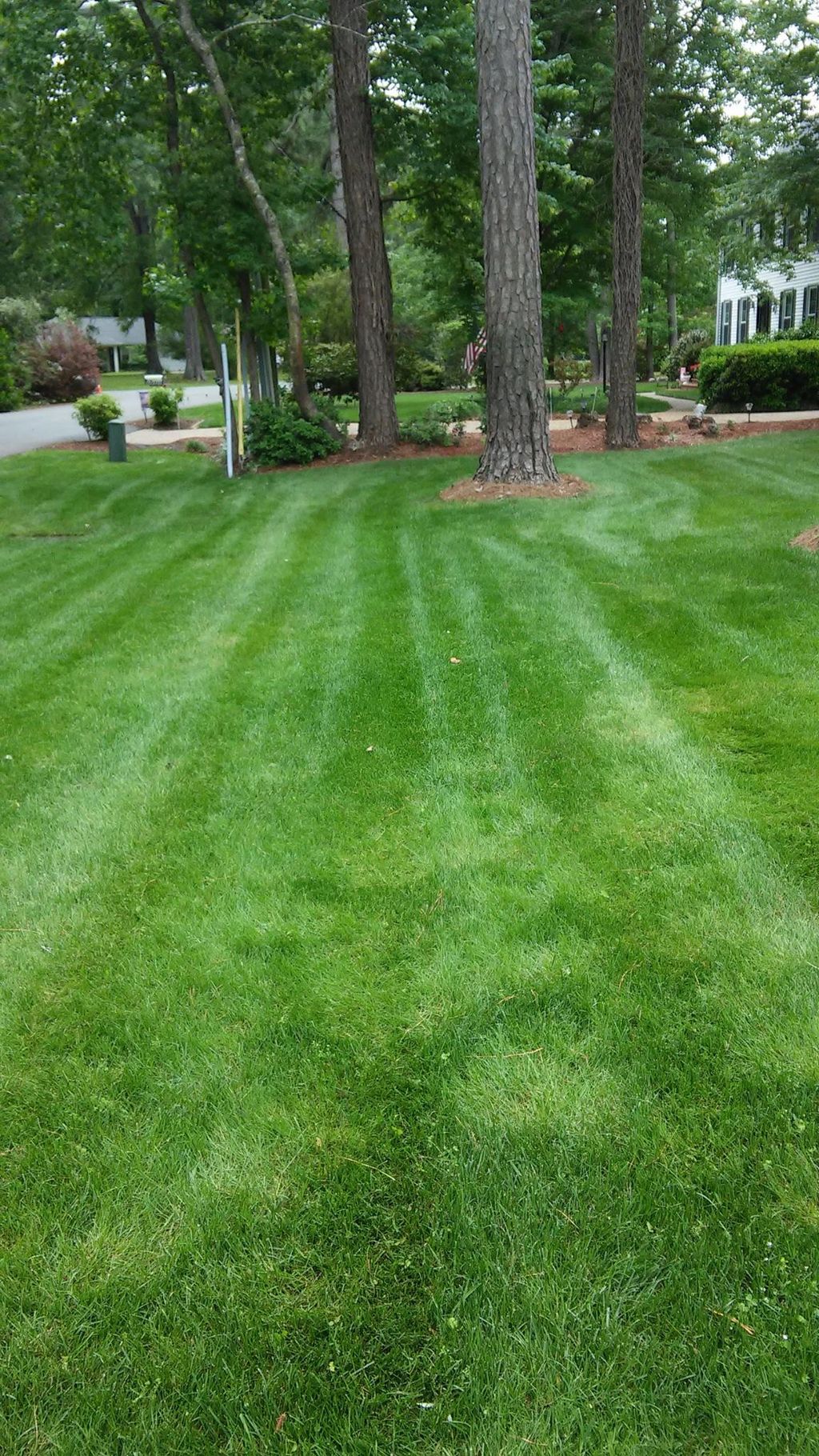 A Weekly Client who is very happy with the service