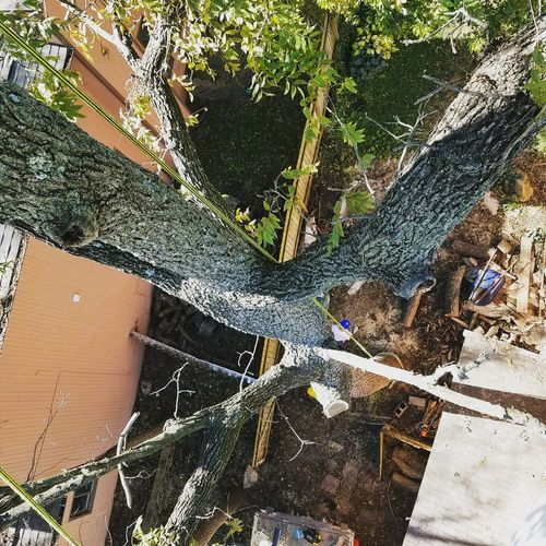 Rigging branches down between houses