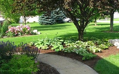 Single family residences with lush landscapes!