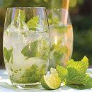 Bacrdi mojitos made by the best bartenders here at