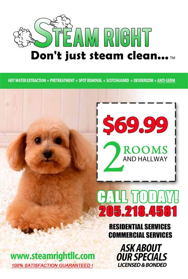 Steam Right Carpet Cleaning