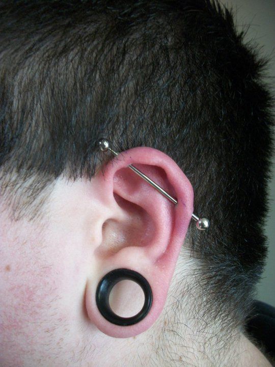 All kinds of piercings, including gauges.