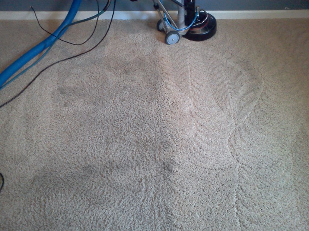 A salvage cleaning of a short sale home where the 