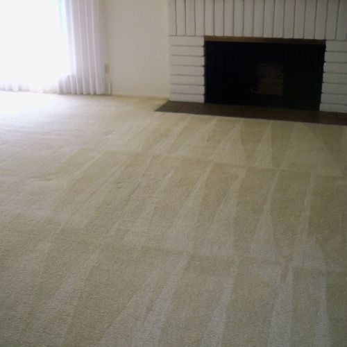 Carpet and window cleaning