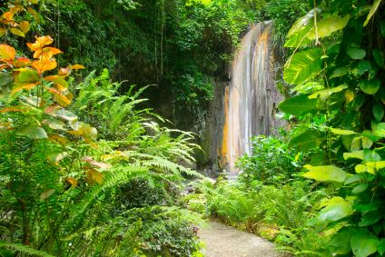 Diamond Falls - St. Lucia