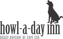 Howl-A-Day Inn Doggy Daycare of Cape Cod