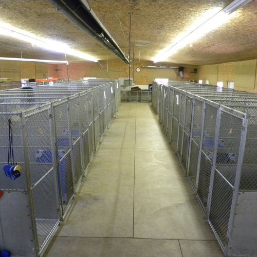 Inside kennel facilities, with private kennel spac