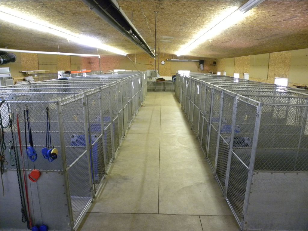 Inside kennel facilities, with private kennel spac