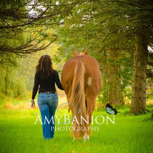 Horse and Rider I Equestrian ~ Kemah, TX