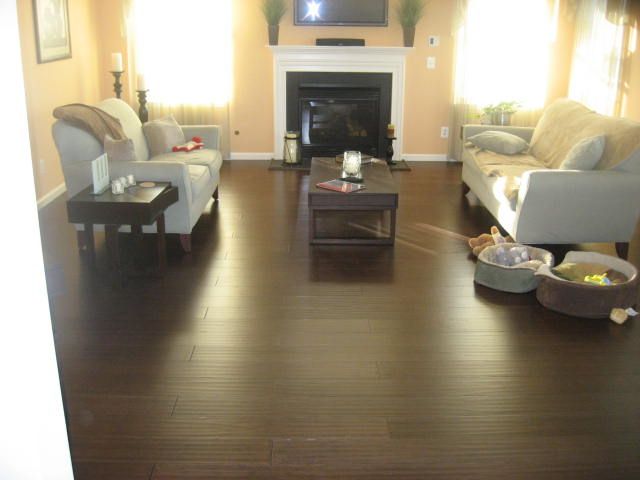 Go Green...with Bamboo hardwood flooring!