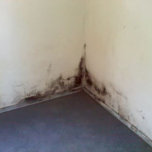 Uncleaned residential wall with mold #3