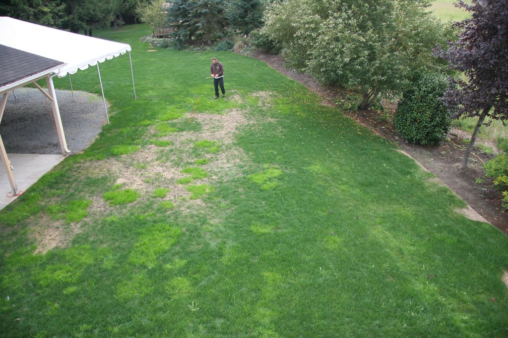 Progress Photo- Fire Pit Project - Marking off the
