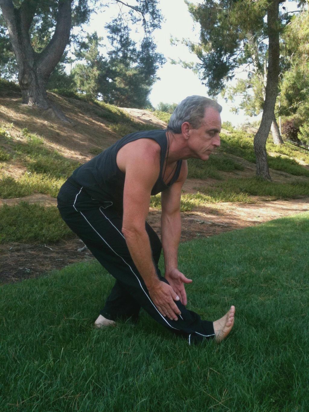 Tai Chi - 7 Star Stance with Nose to Knee Stretch.