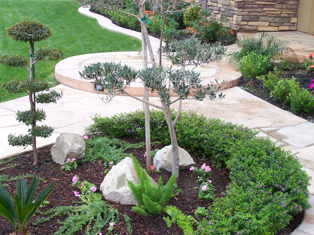 Japanese garden landscape.