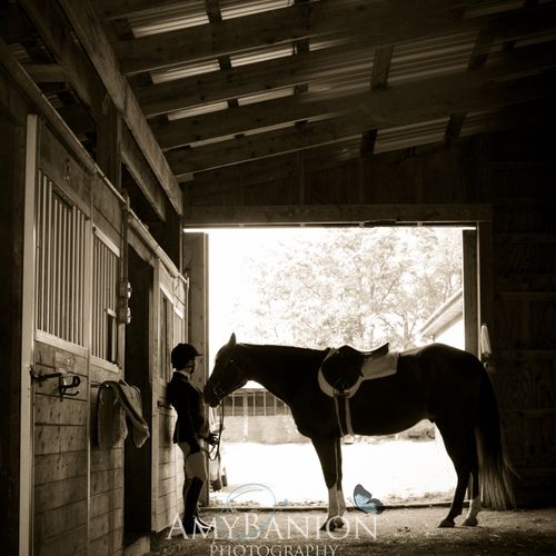 Horse and Rider I Equestrian ~ Kemah, TX