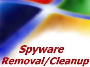 Onsite virus and spyware removal.