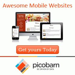 Picobarn - Website Services