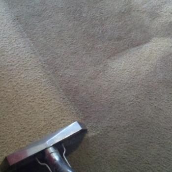 A Step Above Carpet and Flooring Care, LLC