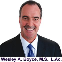 Wesley Boyce, M.S., L.Ac. Acupuncturist