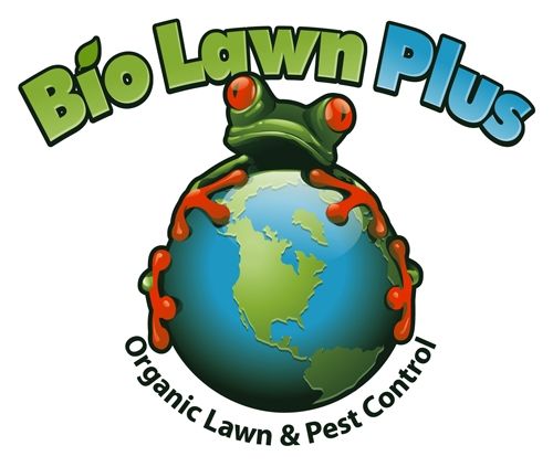 Creative Lighting & Curbing /DBA Bio Lawn Plus