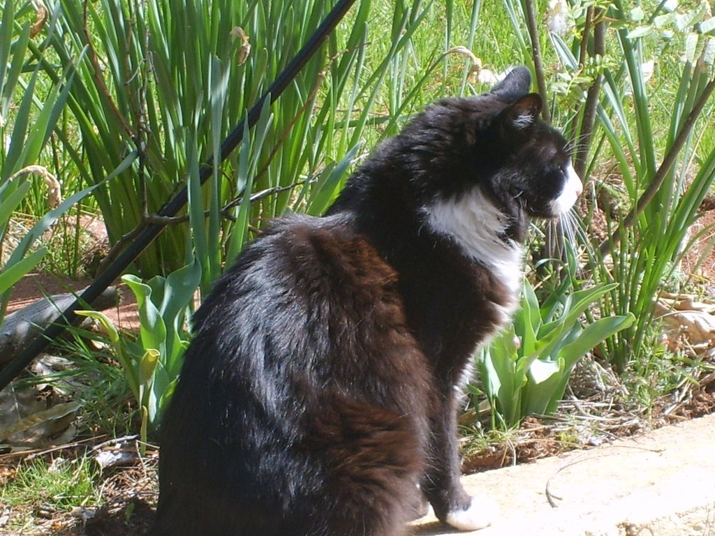 BW, That is a great profile!