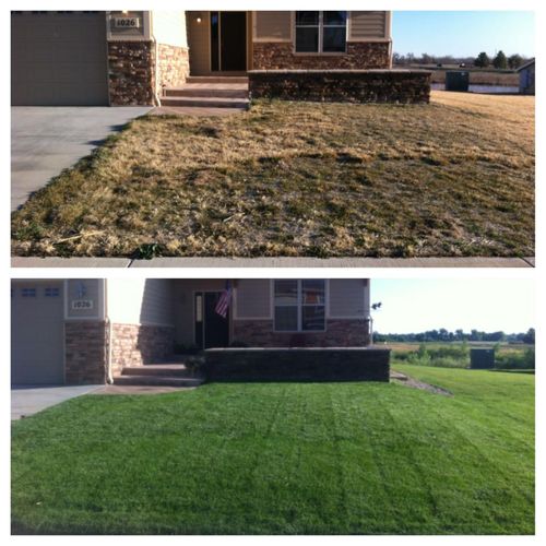 Ask about our Lawn Renovation services