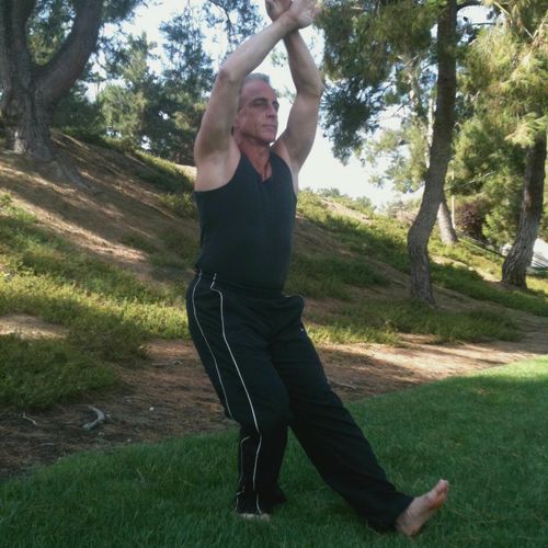 Tai Chi - 7 Star Stance with Cross Block.