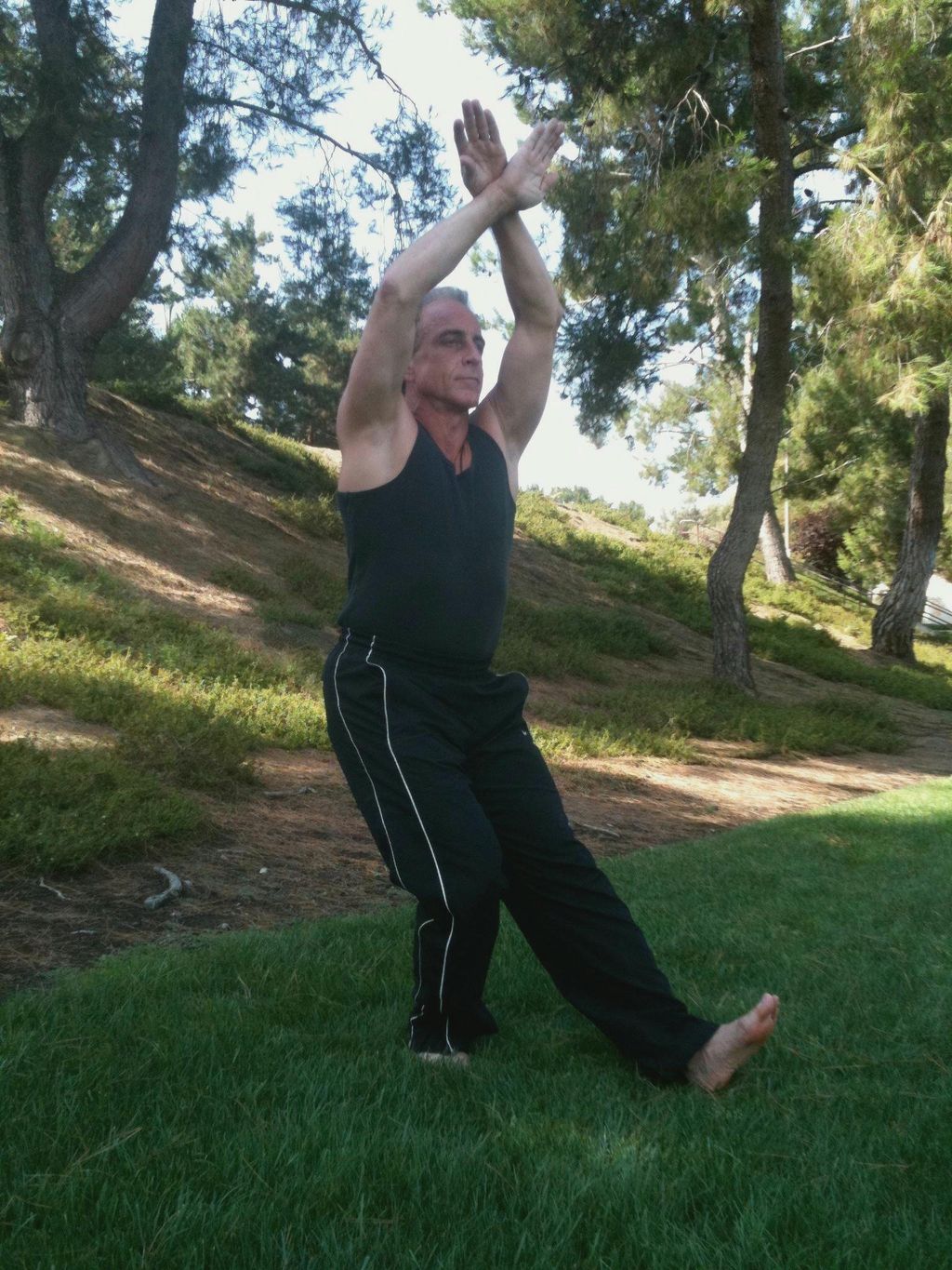 Tai Chi - 7 Star Stance with Cross Block.