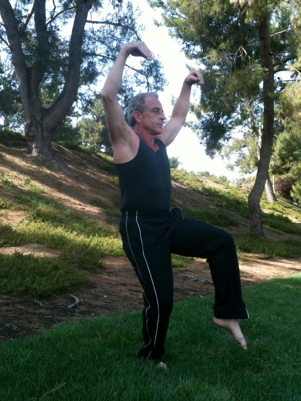 Tai Chi - Half Knee Stance with The Crane.