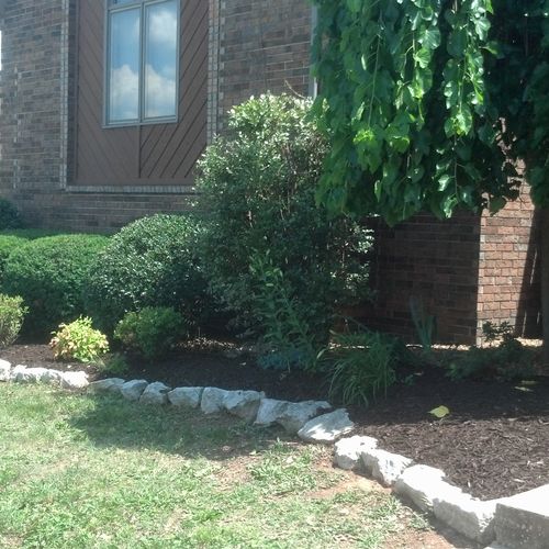 Bush trimming and landscaping job.