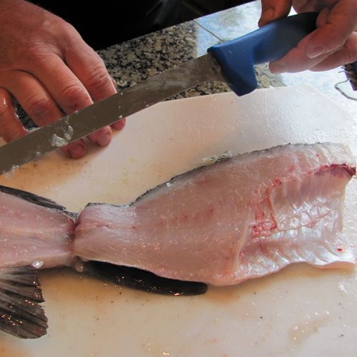 Sea Bass, filleting, with Kershaw,  Pro Grade fill