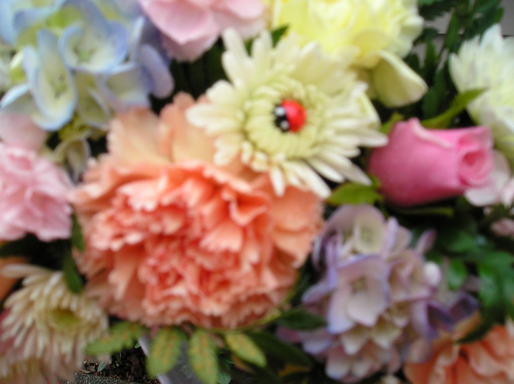 Always a lady bug in each arrangement
You may have