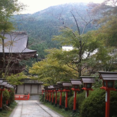 Kurama Temple on Mount Kurama.