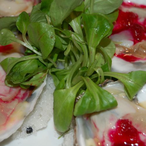 Oysters on the half shell with Pomegranate Mignone