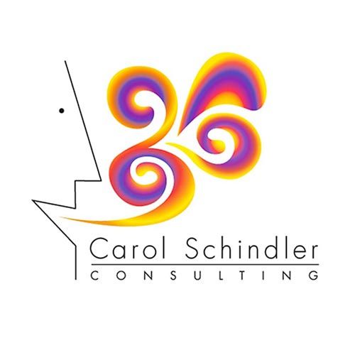 Logo and website for speech coach/consultant